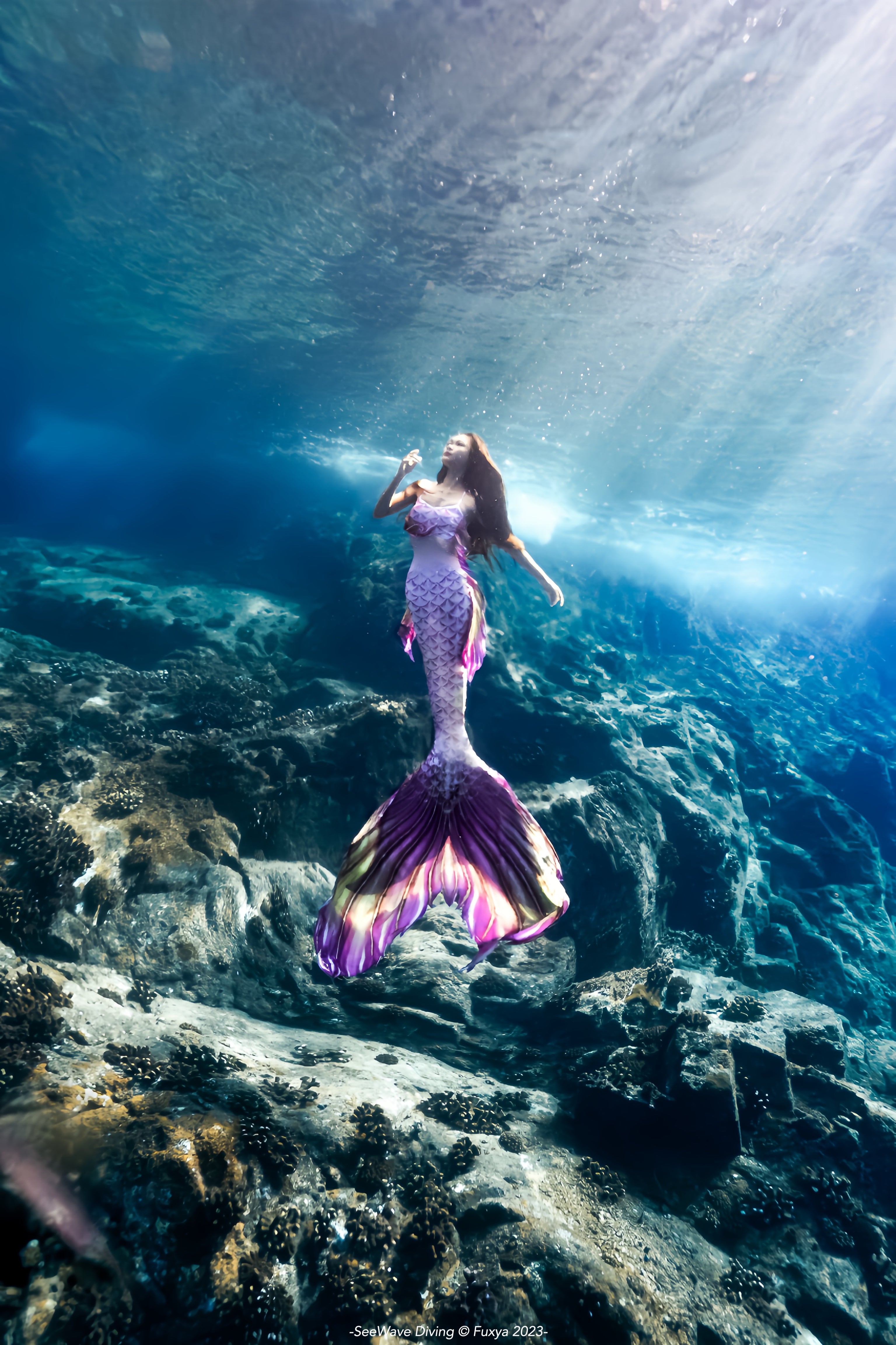 Mermaid tails for adults, cosplay costume, swimmable mermaid tails, mermaid tail swimwear, beach swimming, fabric mermaid tail, realistic mermaid tails, buy mermaid tails, shop mermaid tails, how to be a mermaid, transform to a mermaid, customize mermaid tails, professional mermaid tails, mermaid tails for sale, mermaid diving, mermaid tails for swimming, mermaid tail costume, monofin, mermaid tail customization, handmade mermaid tails, cheap mermaid tail,