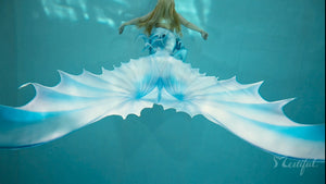 Mertiful Seashell's Song Mermaid Tail