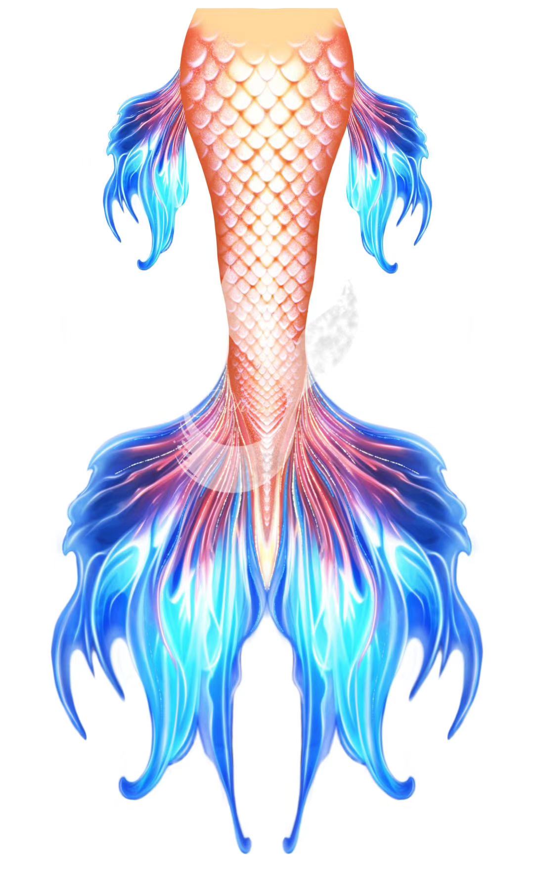 Mermaid tails for adults, cosplay costume, swimmable mermaid tails, mermaid tail swimwear, beach swimming, fabric mermaid tail, realistic mermaid tails, buy mermaid tails, shop mermaid tails, how to be a mermaid, transform to a mermaid, customize mermaid tails, professional mermaid tails, mermaid tails for sale, mermaid diving, mermaid tails for swimming, mermaid tail costume, monofin, mermaid tail customization, handmade mermaid tails, cheap mermaid tail,